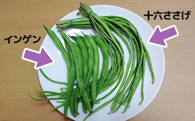愛知県の伝統野菜「十六ささげ」を食え :: デイリーポータルZ