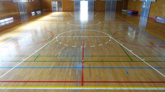 体育館の床のラインは 最も使うコート が一番上にある デイリーポータルz