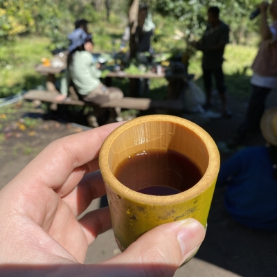 コーヒーの花はお茶にするとうまい！ タイ・チェンマイの山では楽しそうにコーヒーが作られていた