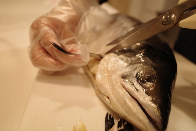 憧れのお歳暮「新巻鮭」をまるっと食べ尽くす会が最高だった :: デイリーポータルZ